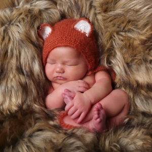 newborn baby photograph dressed as fox