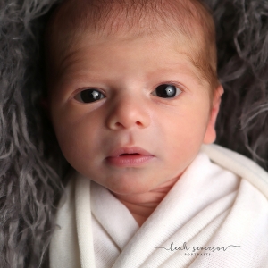baby-photographer-indianapolis