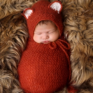 newborn-dressed-fox-indianapolis-indiana