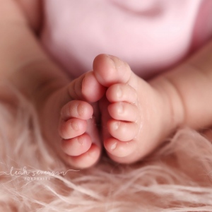newborn-photographer-carmel-in