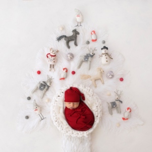 newborn-photography-christmas-indianapolis