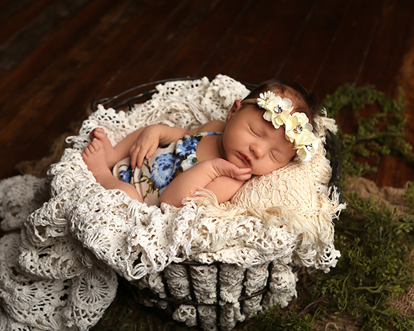 baby sleeps in wire egg basket during newborn photoshoot in carmel