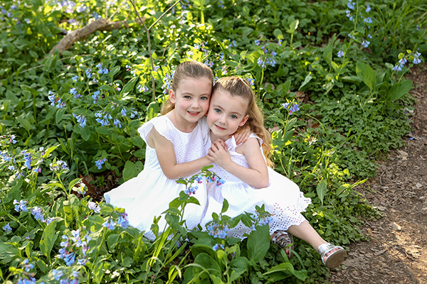 Spring Virginia bluebells carpeting the forest floor during a portrait session at Flowing Well Park in Carmel Indiana